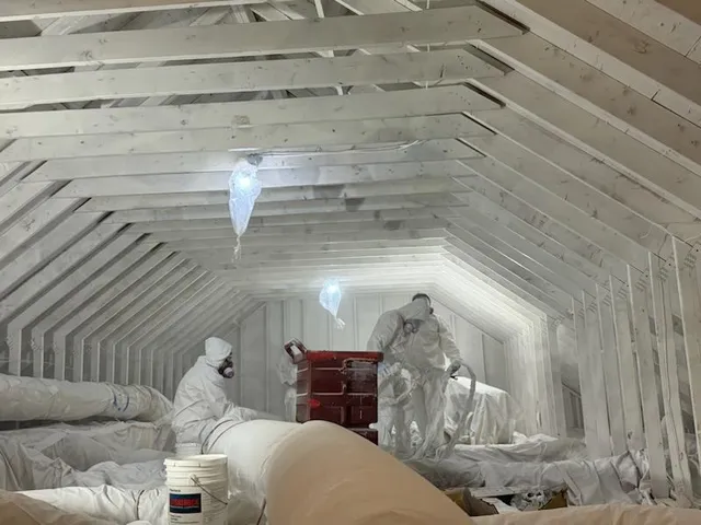 Chase Environmental Asbestos,Lead and Mold Removal work photo