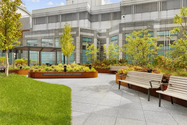 Outdoor Rooftop Healing Garden area with benches, trees, plants, and a sign that reads 'Anderson & Desimone Healing Garden' in front of the new Beth Israel West Campus Impatient Building.