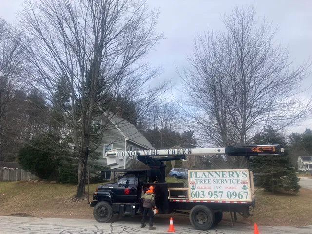 Flannerys Tree Service LLC work photo