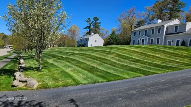 Striped green lawn beside a road, with a white house, small outbuilding, trees, and a blue sky.