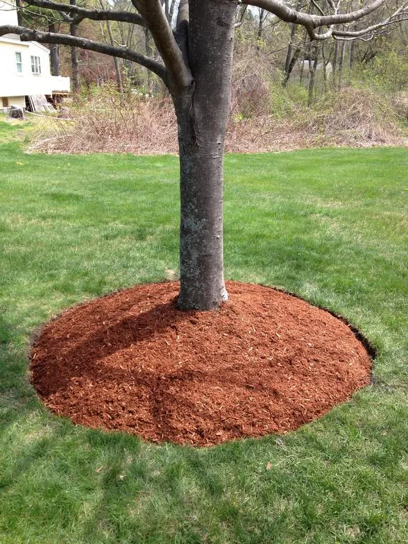 work photo from mebasslandscaping.com