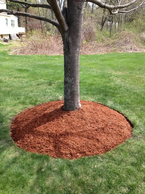 work photo from mebasslandscaping.com