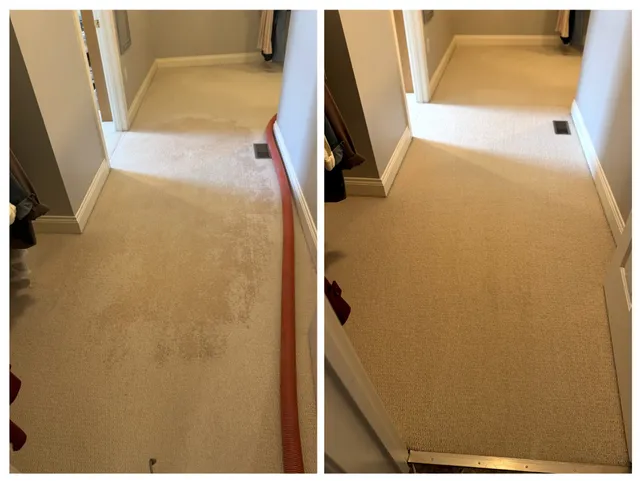 work photo from dirtawaycarpetcleaning.com