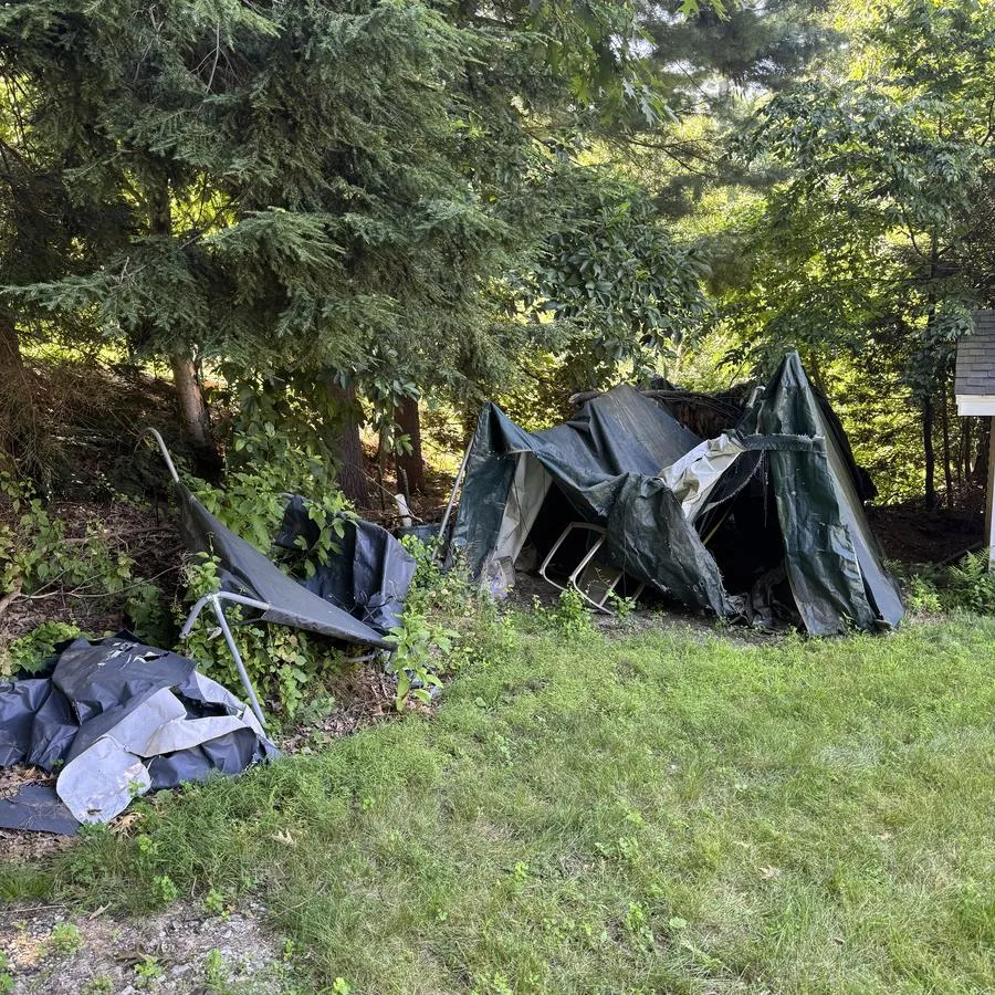 Brush & yard cleanout before — Joe's Junk Removal & Demolition