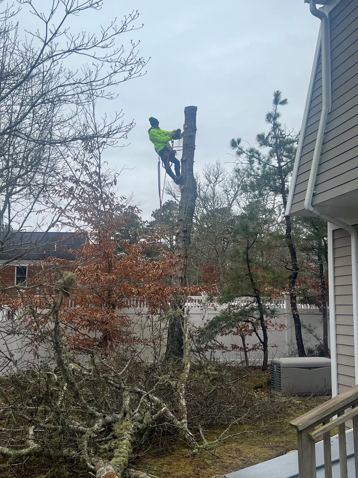 work photo from Google listing