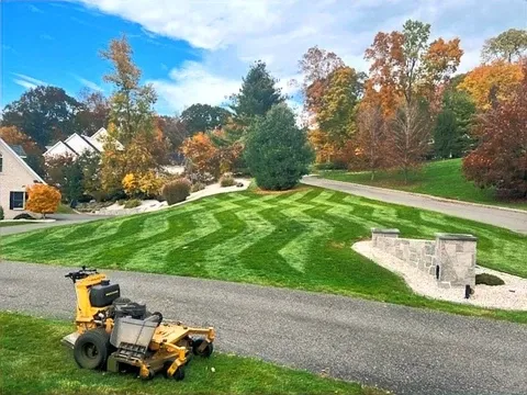 lawn care