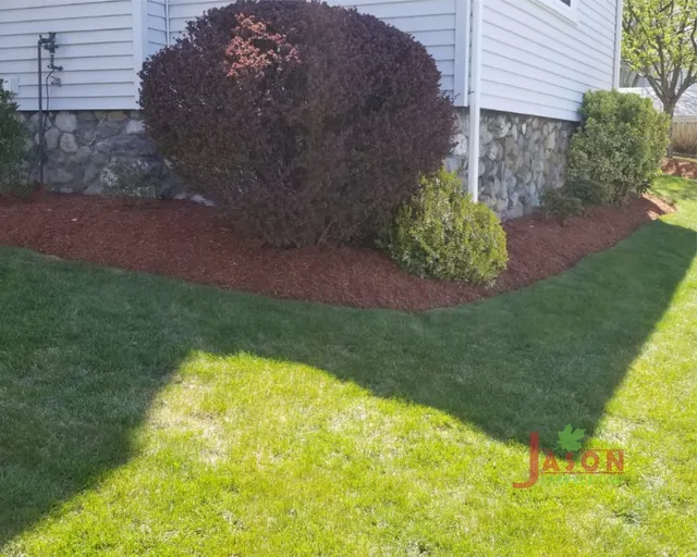 yard cleanup