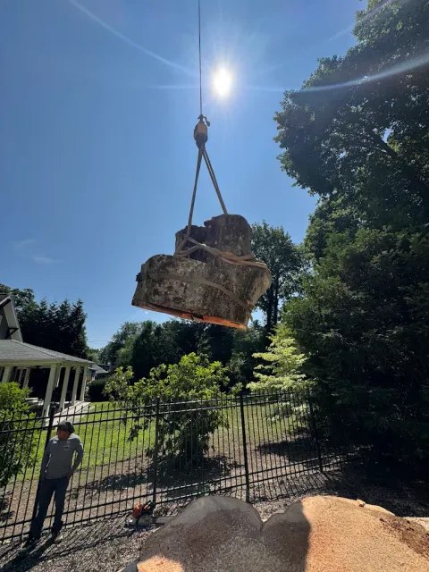 Tree Removal Services