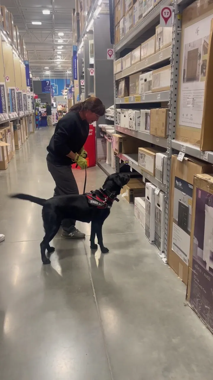 work photo from Google listing