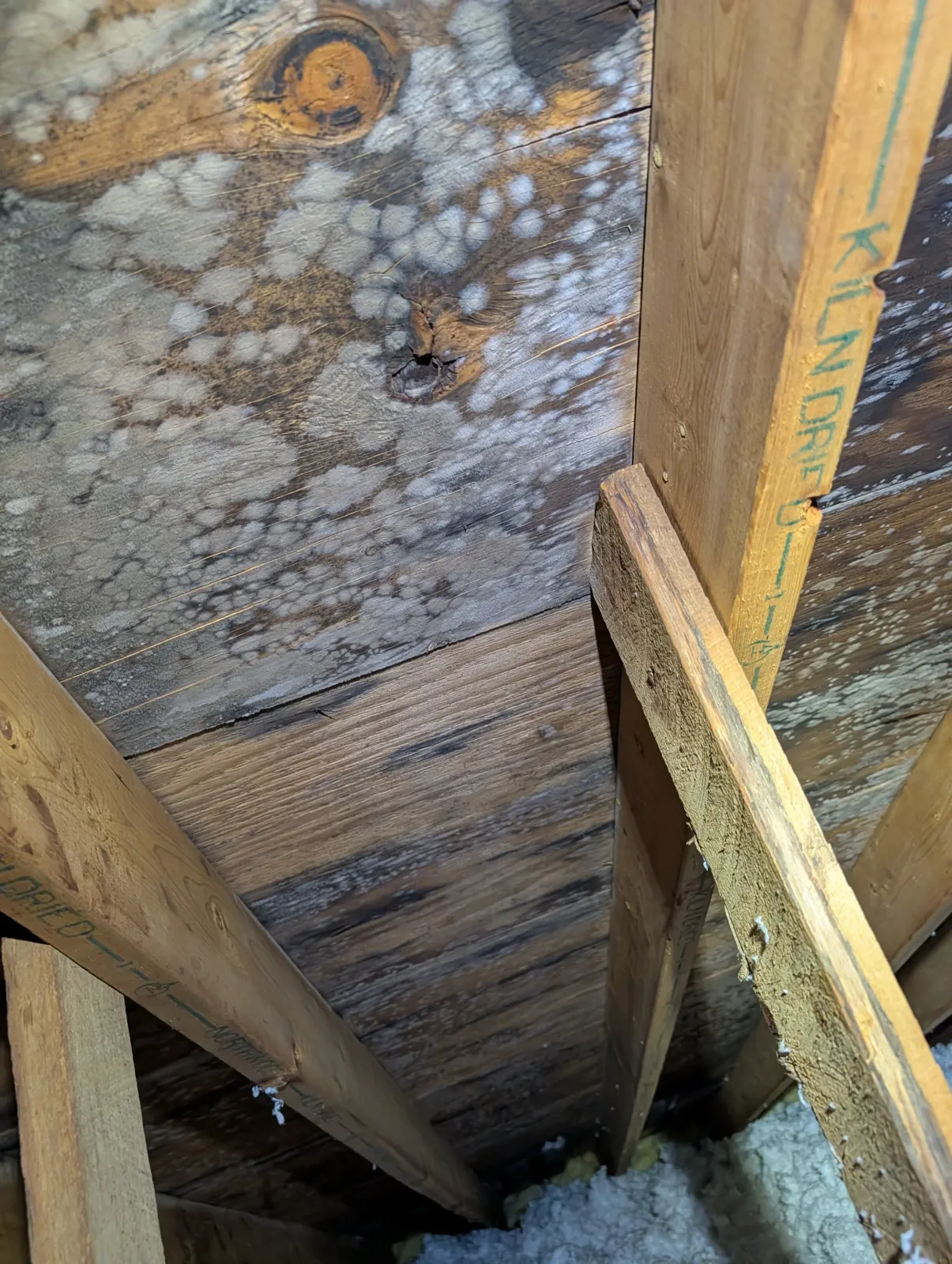 Close-up of a wooden structure, possibly part of a building or furniture, with visible knots, grain, and some white spots or residues on the surface. Surrounding wood beams are also visible.