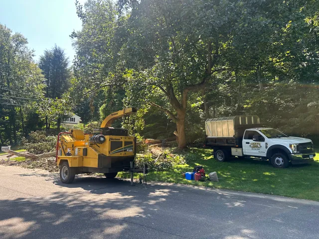 Nery's Tree Services LLC work photo