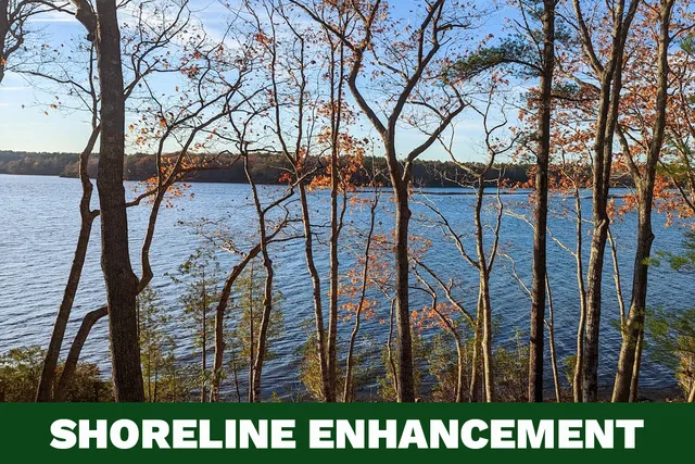 Elevate Your Maine Waterfront View