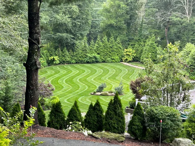Pristine Landscape Solutions LLC work photo