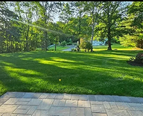 mow