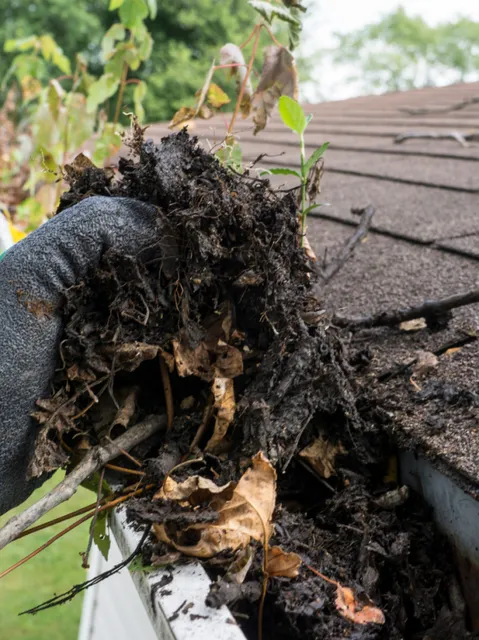 gutter cleaning near me