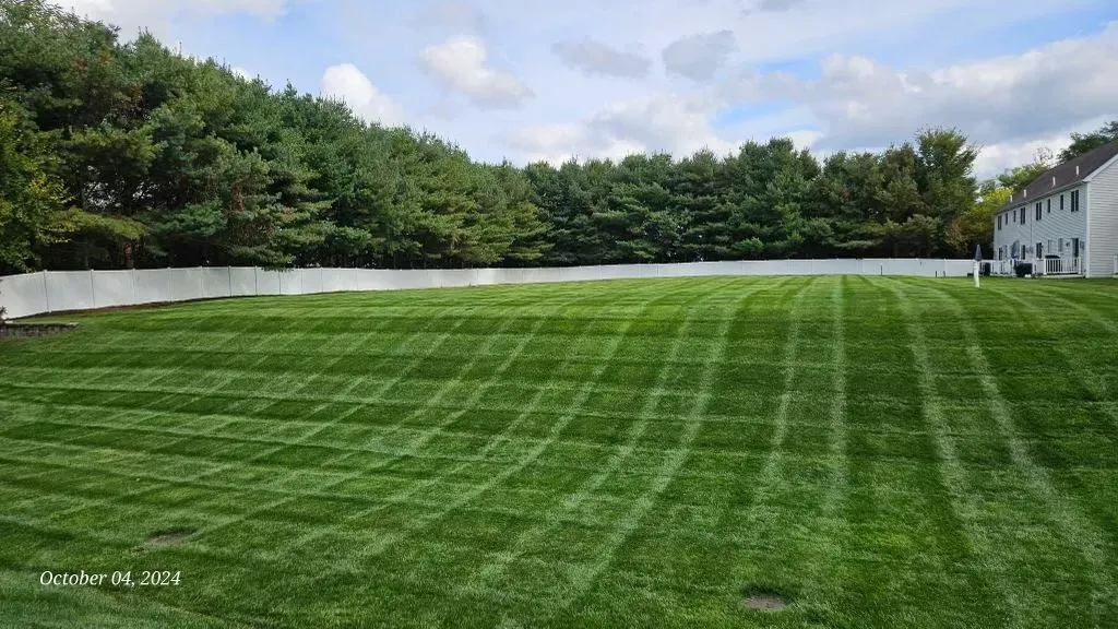 Wide green lawn with striped mowing lines, bordered by trees and a white building under a cloudy sky.