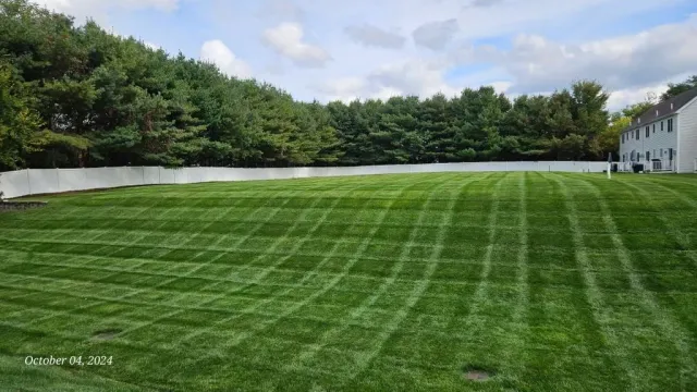 Wide green lawn with striped mowing lines, bordered by trees and a white building under a cloudy sky.
