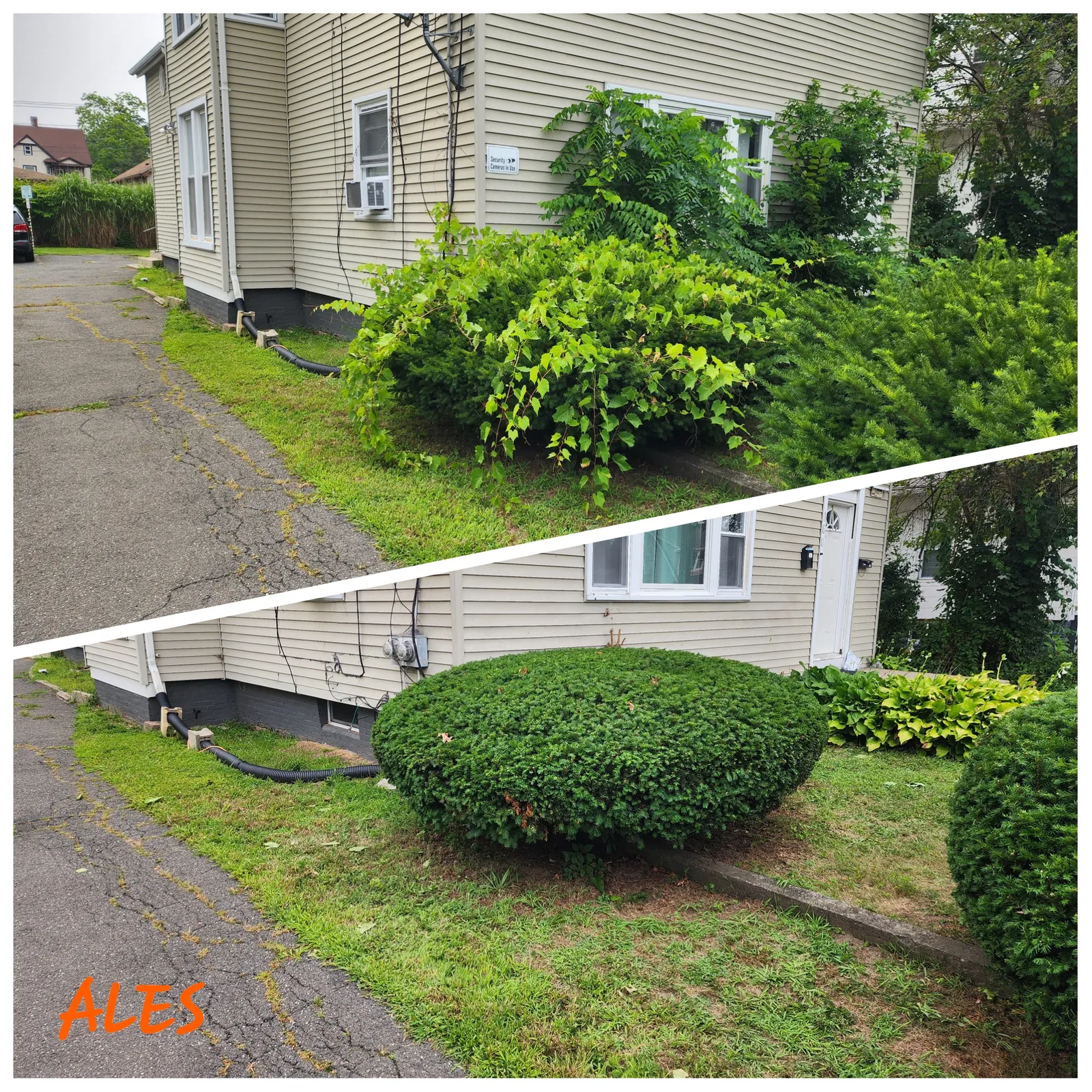 work photo from Google listing