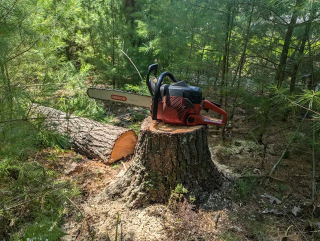 Gary Brooks Tree Service LLC work photo