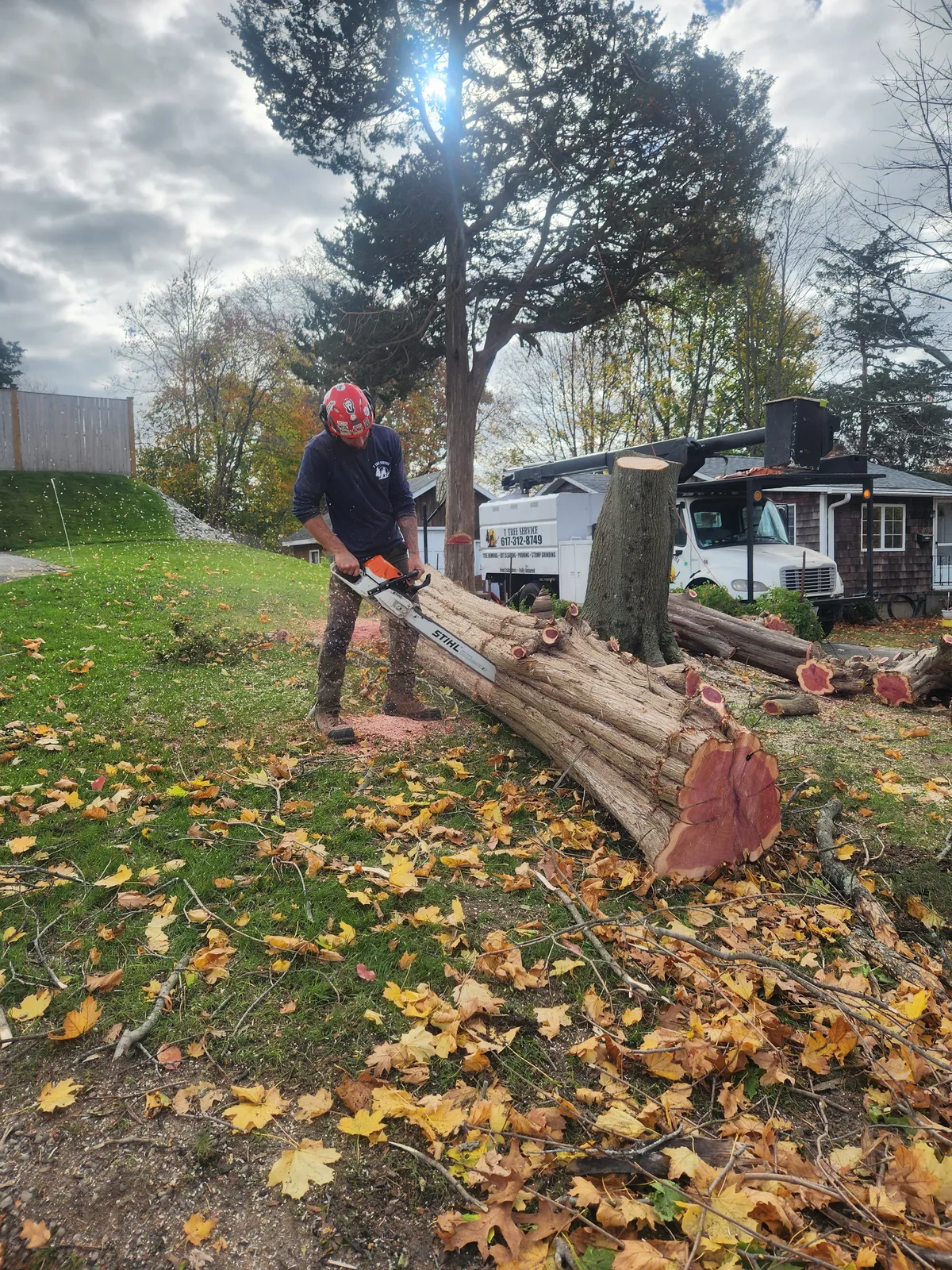 work photo from Google listing