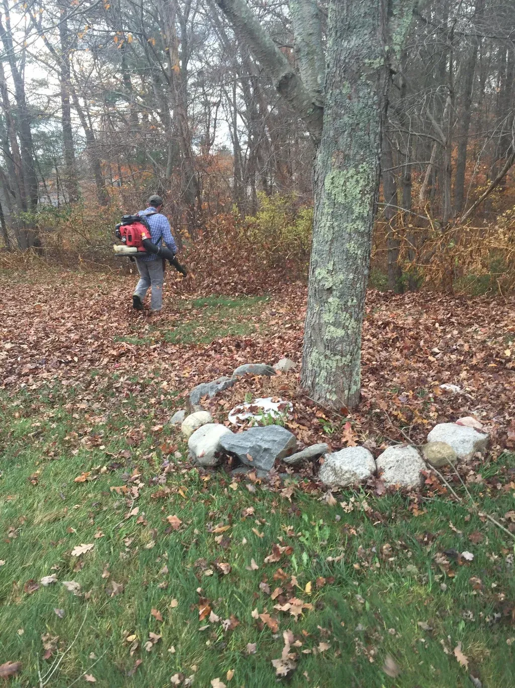 Fall Clean up