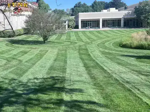 Freshly striped commercial lawn beside a brick building, maintained by Funk Landscape & Design