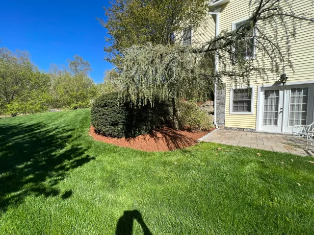 work photo from dtandsonlandscapingllc.com