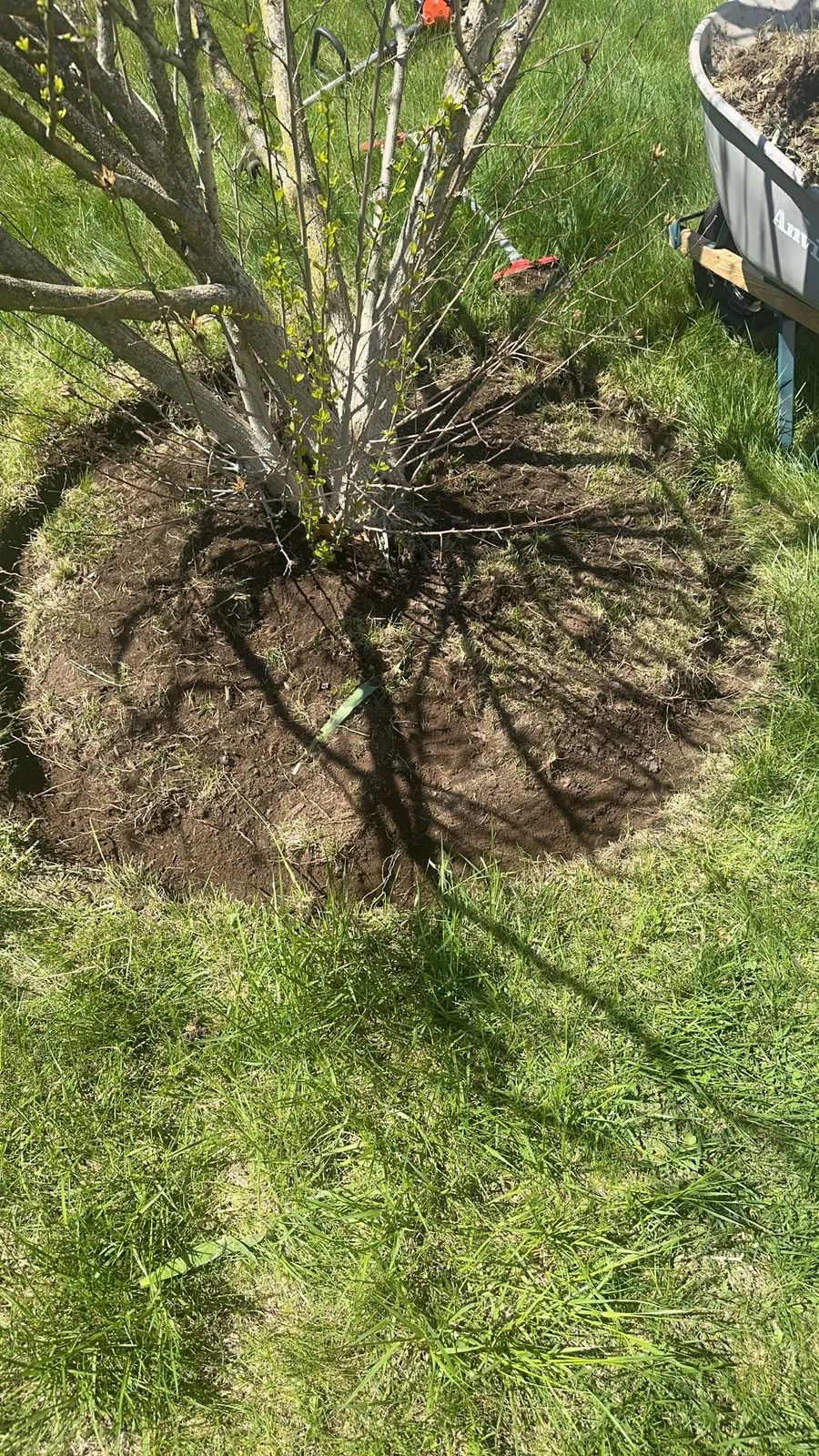 Bluepeak Landscaping