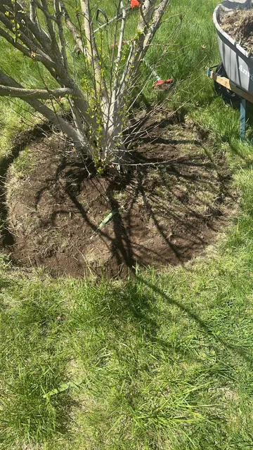 Bluepeak Landscaping