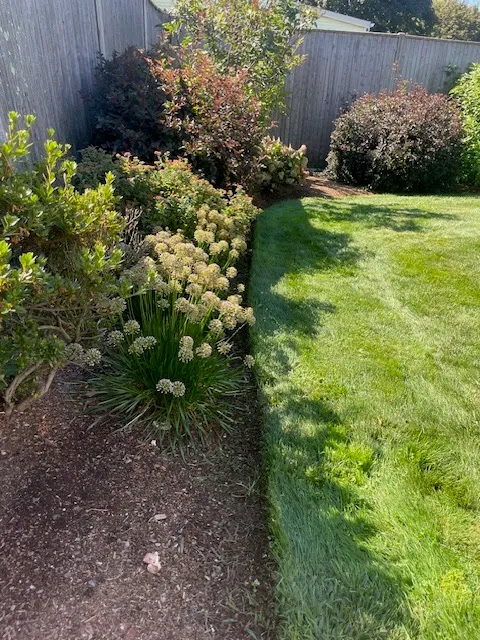 Blake Landscaping Co.