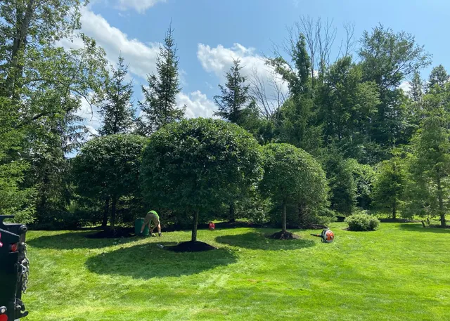 work photo from evergreenlawnandlandscape.com