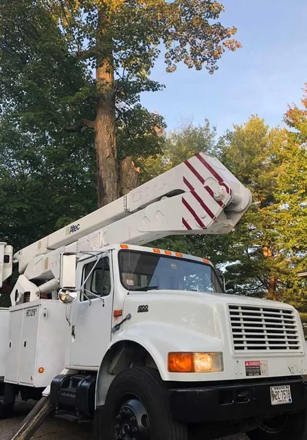 work photo from treesndriveways.com