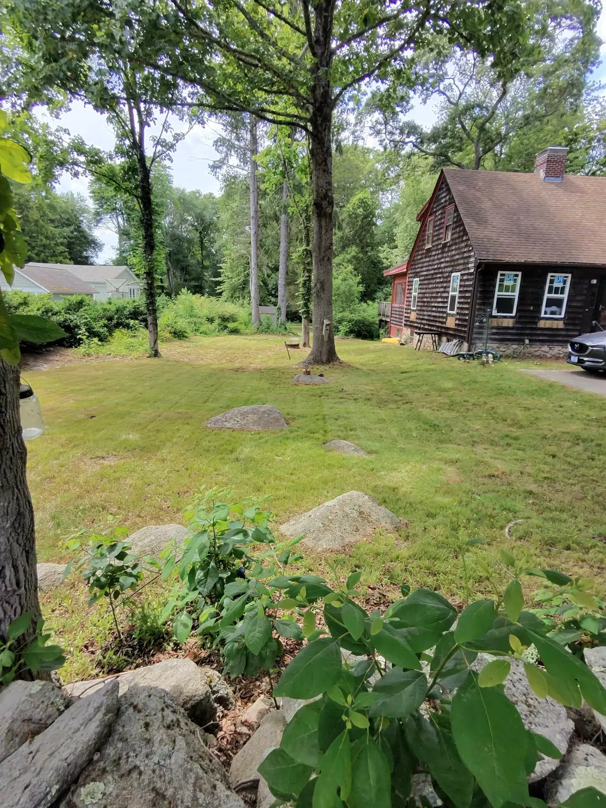 Weekly Lawn Maintenance