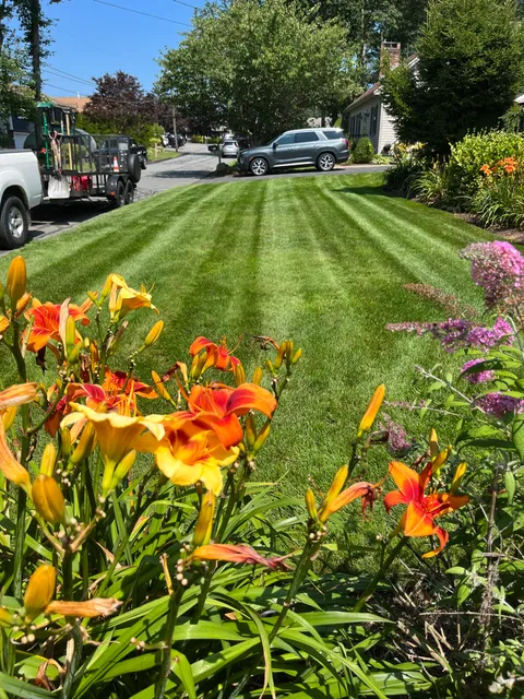 Ledo's Lawn Care work photo