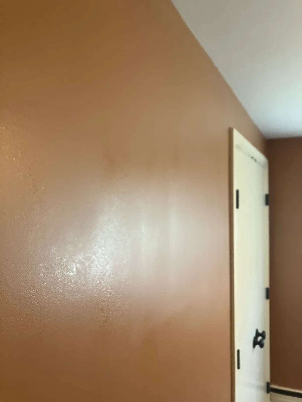 work photo from professionalpaintplus.com