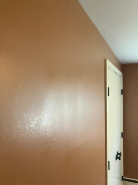 work photo from professionalpaintplus.com