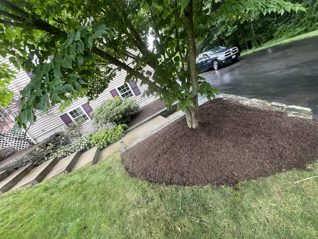 M&L Landscaping work photo
