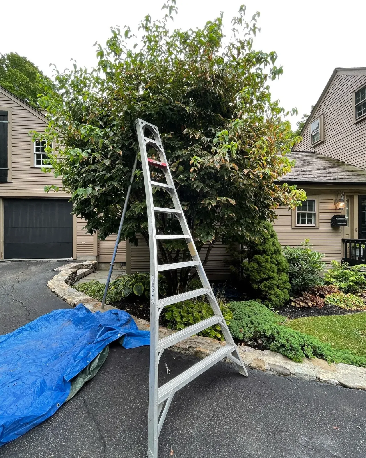Often times, ornamental trees and shrubs receive inadequate care. Proper pruning is not only aesthetically pleasing but also greatly beneficial to overall health of your trees and shrubs, adding pride and value to your property for years to come.  Sc