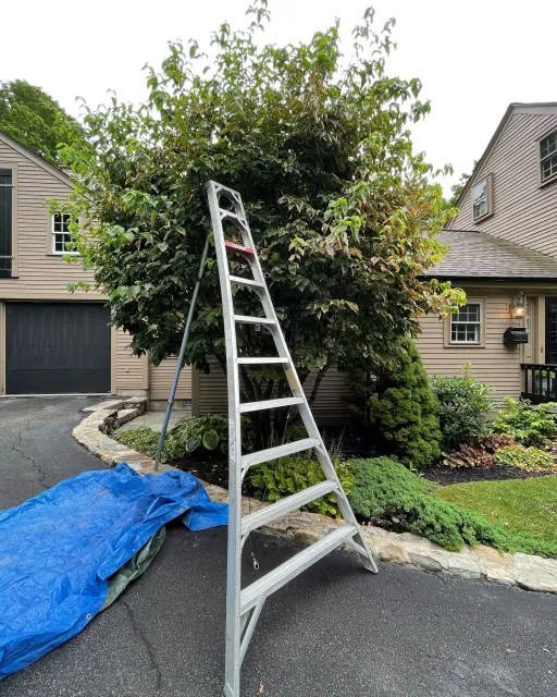 Often times, ornamental trees and shrubs receive inadequate care. Proper pruning is not only aesthetically pleasing but also greatly beneficial to overall health of your trees and shrubs, adding pride and value to your property for years to come.  Sc