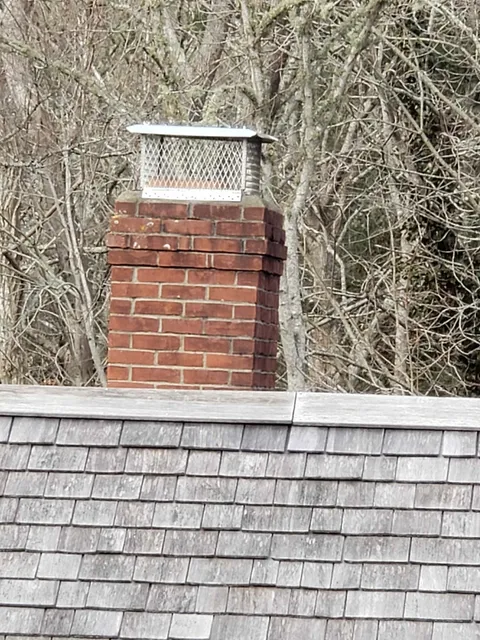 Compass Wildlife and Pest Solutions work photo