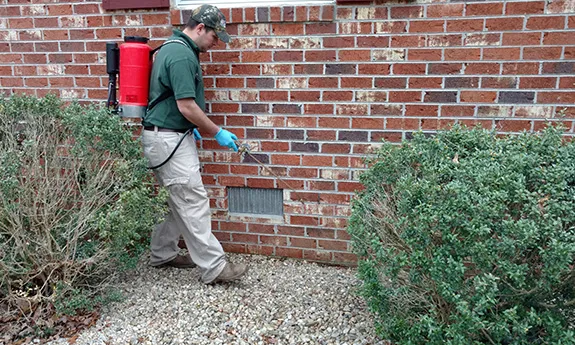 Dan The Mosquito Man work photo