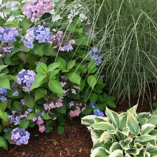 KATHLEEN M CALDARA LANDSCAPE DESIGN researched project photo