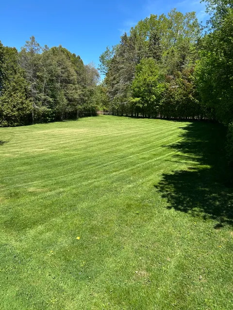 S&M Property Maintenance work photo