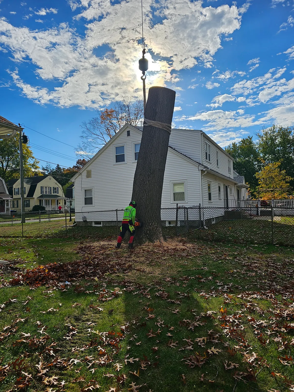 work photo from Google listing