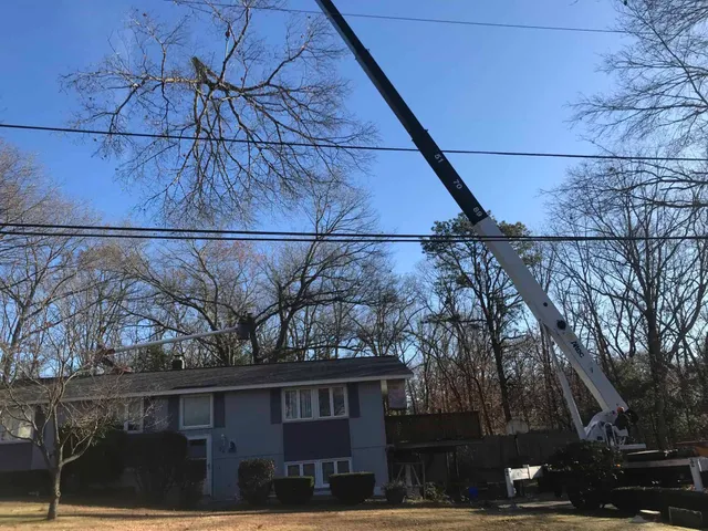 work photo from northsmithfieldtreeservice.com