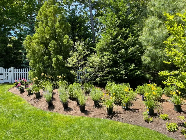 Landscaping Design #04