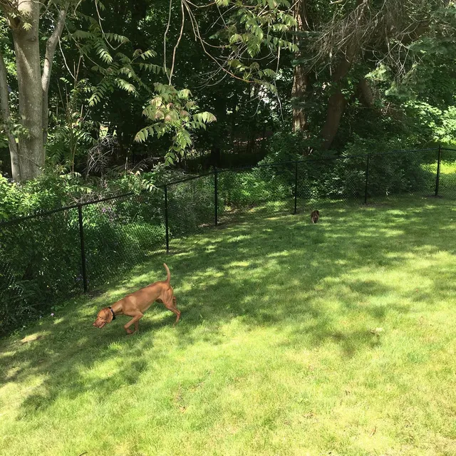 Chain link fence installation