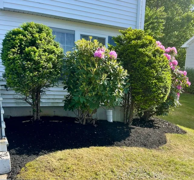 Affinity Landscape Solutions