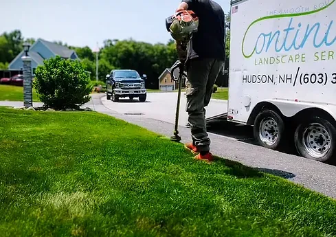 Cutting grass with a weed whacker