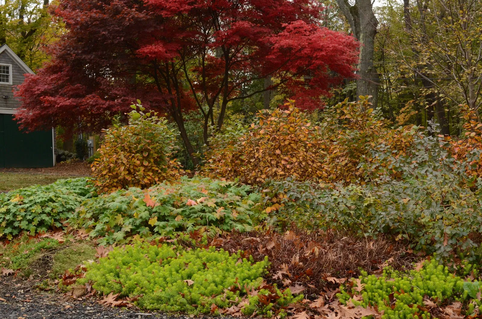 Rue Sherwood Landscape Design